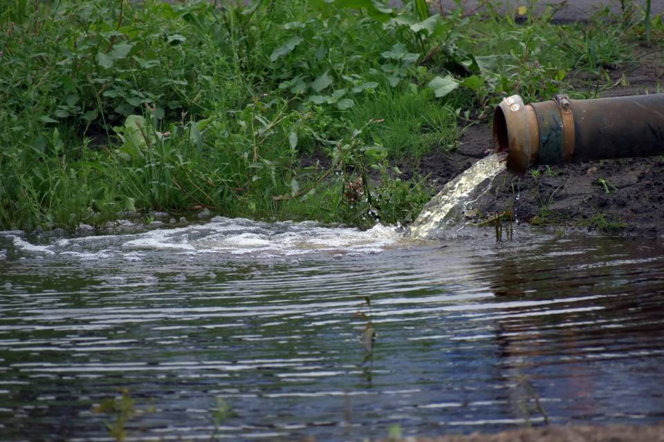 Water flowing from pipe into grassy area.